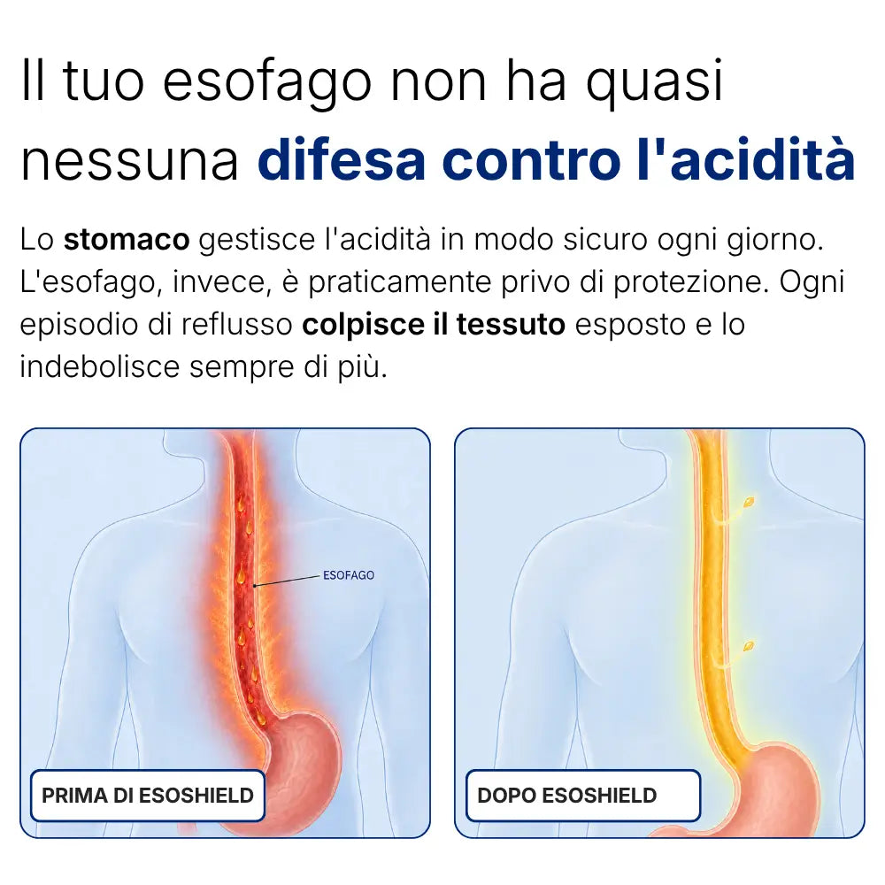 Supporto Esofago e Stomaco di Northstar