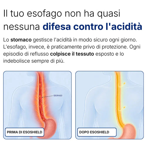 Supporto Esofago e Stomaco di Northstar