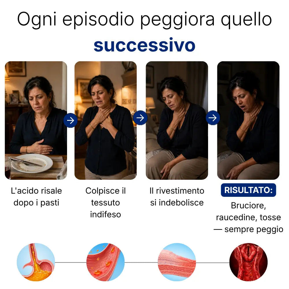 Supporto Esofago e Stomaco di Northstar