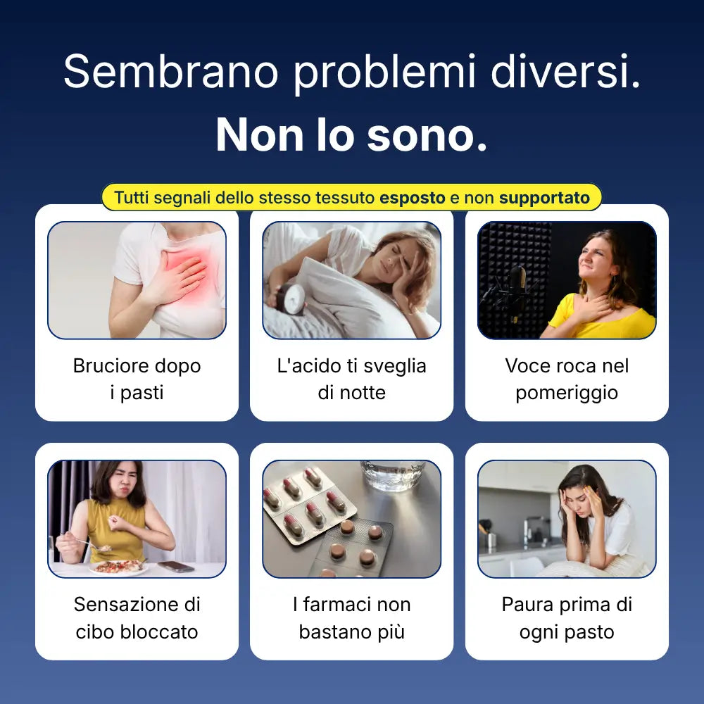 Supporto Esofago e Stomaco di Northstar